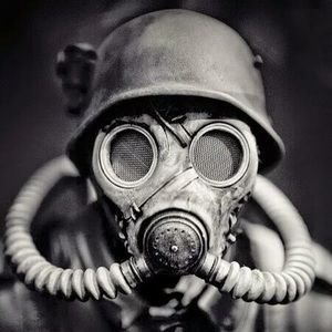 Meet your Posher, Carol